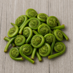 6139-fiddlehead-ferns