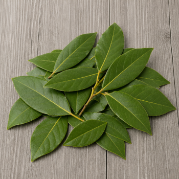 Herbs Bay Leaves