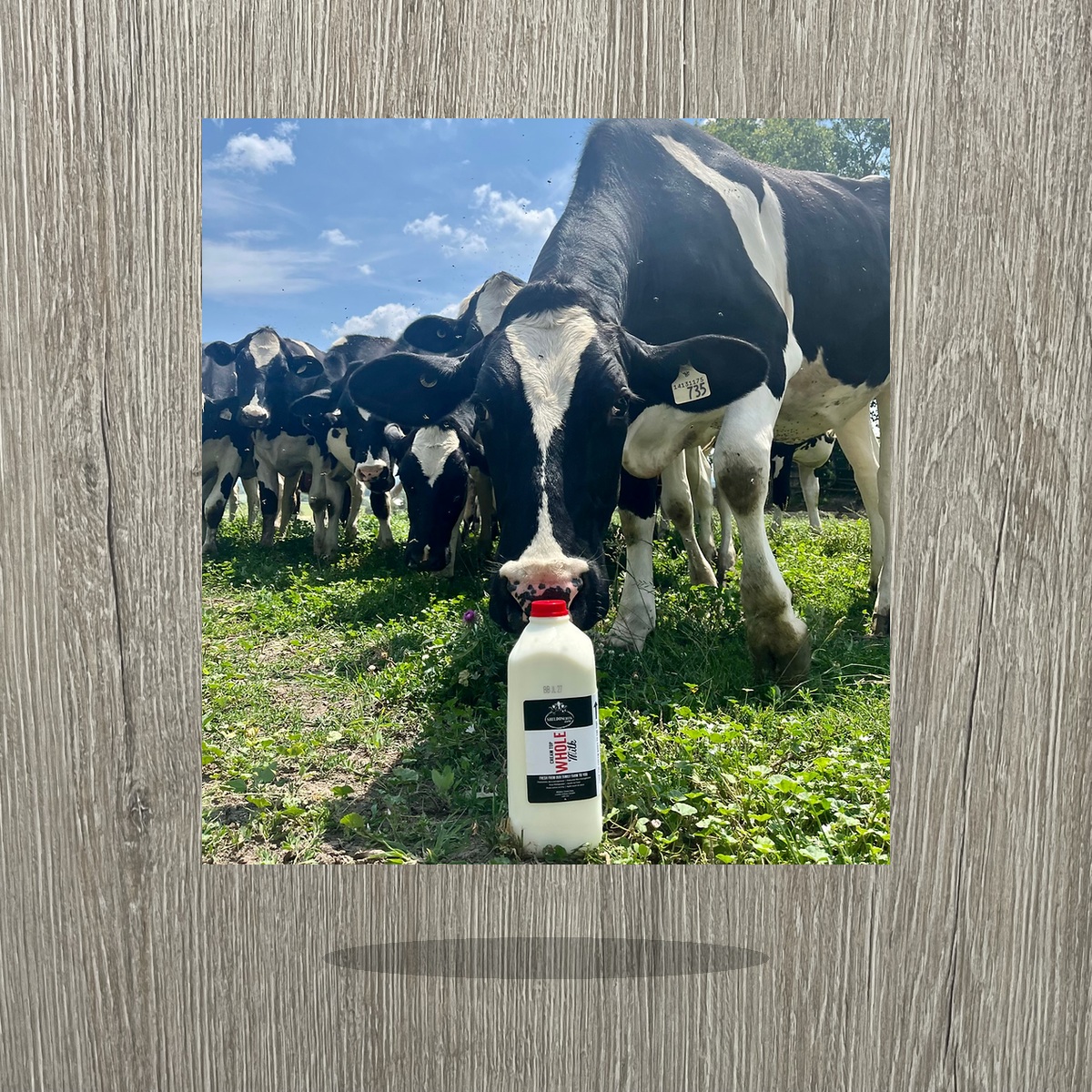 SHELDON Whole Milk 3.5% SHELDON Whole Milk 3.5%
