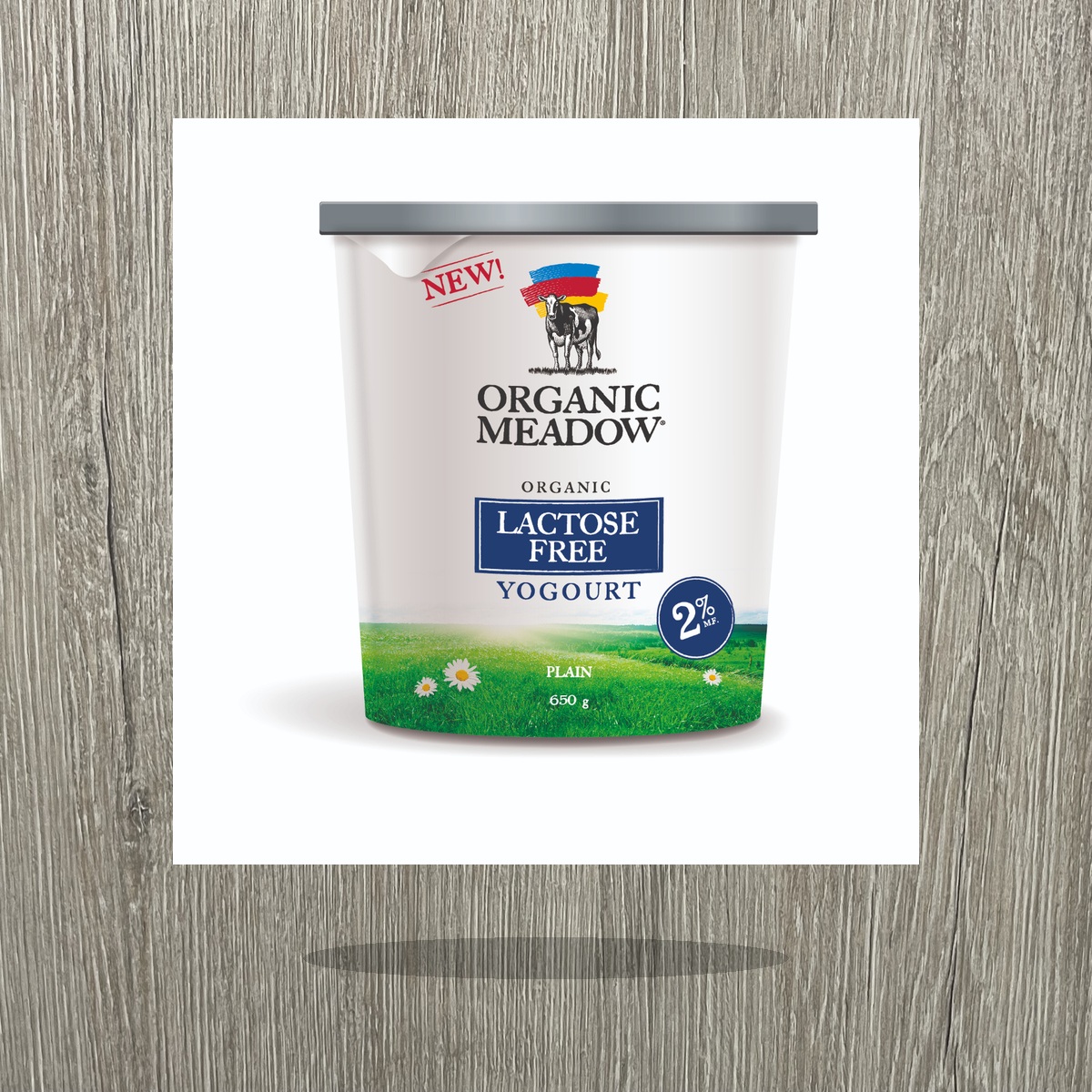 brand-audit-51-b05-5302-lactose-free-yogourt