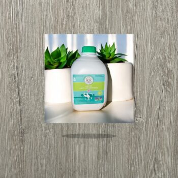 Best Baa Sheep Kefir 1L